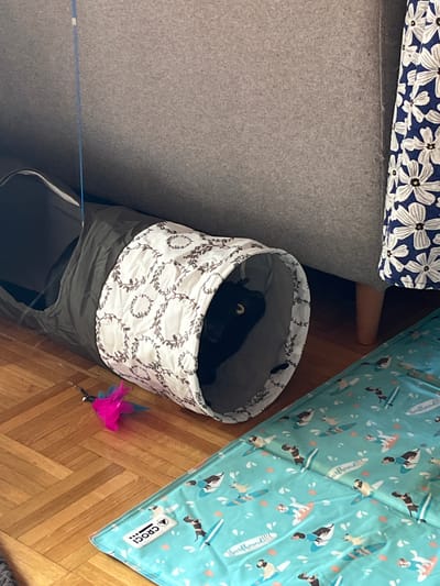 The image depicts an indoor scene, likely a living room, with a black cat partially visible inside a gray and white patterned pet tunnel. The tunnel is positioned on a wooden parquet floor next to a grey sofa and a blue and white floral patterned curtain. A pink and blue cat toy lies on the floor near the tunnel. A light blue mat with a repeated pattern of dogs surfing is also present on the floor. The location is identified as L'Haÿ-les-Roses, France.