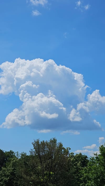 The image shows a clear blue sky with large, fluffy white clouds. Below the clouds, the tops of various green trees are visible, creating a dark green border across the bottom of the frame. The scene is tranquil and appears to be an outdoor setting, possibly in a park or a suburban area, under a bright, sunny sky. There are no people or specific city landmarks visible in the image, therefore it is not possible to determine the location in the city of Karlovo, Bulgaria.