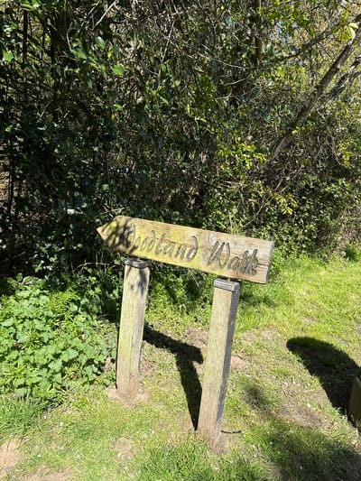 The image shows a wooden signpost in a grassy area beside a wooded area in Gorleston-on-Sea, United Kingdom. The signpost reads "Woodland Walk". The sign has a pointed end and is made of weathered wood. The signpost consists of two vertical posts and a horizontal connecting piece, also made of weathered wood. The surrounding environment includes dense foliage of trees and shrubs to the left of the signpost. The ground is covered with grass and other greenery.