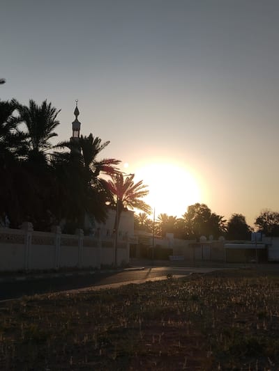 The photograph captures a serene sunset in Al Mas'oudi, United Arab Emirates. Silhouetted against the bright orb of the setting sun and the pale sky are several palm trees. A minaret, topped with a crescent moon, is visible behind the palm trees, suggesting the presence of a mosque. A decorative wall runs along the foreground, bordering a paved area that could be a street or a pathway. The ground in the immediate foreground is covered with dry, sparse vegetation. The overall scene is tranquil, illuminated by the warm, soft light of dusk.