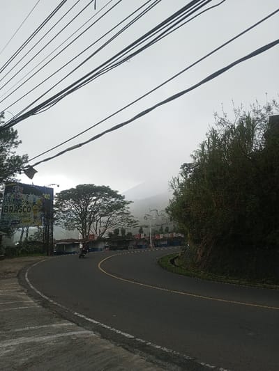 The image depicts a winding asphalt road, marked with a continuous yellow center line and white edge lines, curving to the right, in the city of Siruppiddy, Sri Lanka. The scene is overcast, with hills or mountains in the background partially obscured by mist or fog.
On the left side of the road, a large billboard is visible, prominently displaying the words "EPIC" and "BRASCO," alongside images suggesting food or beverage products. Behind the billboard, a large, mature tree with a full green canopy stands. Below the billboard and tree, a series of small structures with blue and white facades, resembling vendor stalls or shops, line the roadside. Multiple thick, black electrical or communication lines crisscross the upper left portion of the frame, descending towards the foreground. A paved concrete shoulder with etched patterns is in the immediate foreground on the left.
A single dark-colored motorcycle, operated by one rider, is observed on the road, mid-curve, traveling away from the viewer.
On the right side of the road, a steep embankment is covered with dense, green vegetation, including tall grasses and various bushes. A narrow drainage channel runs parallel to the road at the base of this embankment.