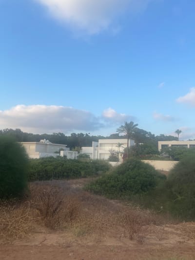 The image depicts a bright, overcast day with a dominant blue sky and scattered clouds. The scene is a coastal landscape with modern white buildings nestled amongst lush green vegetation and palm trees. To the right, a dry, sandy path runs alongside the greenery. The buildings appear to be part of a resort or residential complex, with multiple stories and contemporary architectural features. The overall impression is one of a serene, possibly Mediterranean or desert-adjacent environment. There is no activity or event clearly taking place, and no people are visible. The lighting suggests it is daytime, likely morning or late afternoon, given the soft quality of the light. The location cues, such as the vegetation and architecture, are consistent with a coastal area in Hof HaCarmel Regional Council, Israel. No text is visible in the image.