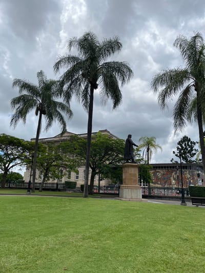 The image depicts a public park or square in Brisbane City, Australia, under an overcast sky. A lush, well-maintained green lawn occupies the foreground and right side of the frame. Several tall palm trees with dense, somewhat windswept fronds are prominent on the left and extend into the cloudy sky.

In the midground, a dark statue of a figure, possibly male and dressed in robes with one arm extended, stands on a multi-tiered light-colored pedestal. Behind the statue and partially obscured by trees, a grand, light-colored building with classical architectural details and multiple windows is visible. To the right of the statue, another building features a large, colorful mosaic mural on its upper facade, bordered by a black metal fence running along its base. Other green trees and foliage are scattered throughout the midground and background, complementing the park-like environment. The scene is set during the daytime, characterized by a predominantly grey, cloudy sky. No discernible text is visible within the image.