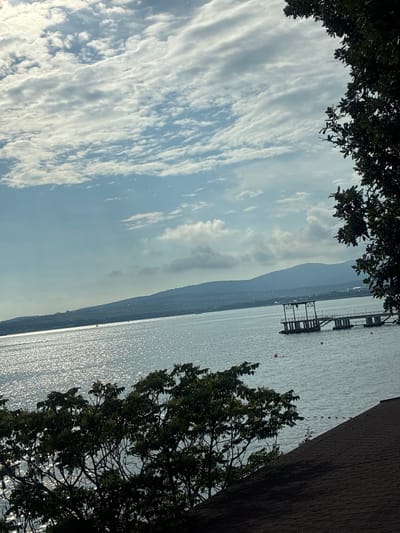This image depicts a scenic view of the Gelendzhik Bay in Gelendzhik, Russia. In the foreground, a dark, shingled roof is visible, partially obscured by the branches and leaves of lush green trees. The trees are densely packed, with sunlight filtering through their foliage, creating a dappled effect.

Beyond the trees, the expansive bay stretches out, its surface shimmering with sunlight. In the middle ground, a sturdy, concrete pier extends into the water. The pier has a multi-level structure at its end, appearing to be a boathouse or a diving platform. Several buoys, red in color, are scattered in the water near the pier. A thin rope barrier, marked by small white floats, runs parallel to the shore in the distance.

In the far distance, a range of hazy, blue mountains forms the horizon, with a light dusting of green vegetation visible on their slopes. The sky above is a vibrant blue, adorned with scattered, wispy white clouds that are illuminated by the sun. A lone boat is visible on the water in the distance, adding a sense of scale to the vastness of the bay. The overall impression is one of a tranquil, sun-drenched day by the sea.