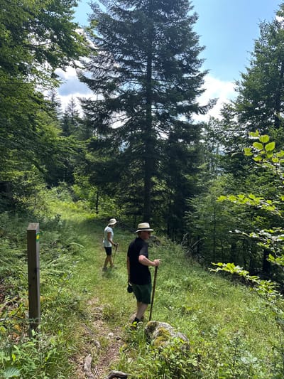 The image displays two individuals hiking on an unpaved, grassy trail through a dense forest in Saint-Jean-d'Aulps, France, under a bright, partly cloudy sky. In the foreground, a male subject wearing a dark short-sleeved shirt, dark shorts, and a light-colored fedora-style hat stands on the trail, holding a wooden walking stick, and is looking towards the camera. Approximately ten feet behind him, a female subject wearing a white short-sleeved top, dark shorts, and a light-colored wide-brimmed hat walks along the path, utilizing two black trekking poles. To the left of the trail in the lower foreground, a wooden post serving as a trail marker is visible, featuring a yellow symbol on a green background. The environment is heavily vegetated with tall conifer trees, including a prominent large one in the center-right, along with various deciduous trees, ferns, and grasses that line and cover parts of the trail. The ground is uneven, showing roots and rocks, some covered in moss.