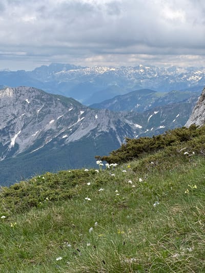 This is an image of a mountain landscape in the Jošanica, Montenegro area. In the foreground, green grass and small white flowers cover a slope, with a dense green shrubbery to the right. In the midground, a steep, rocky mountain slope is visible, with patches of snow. Further in the background, layers of blue-hued mountains recede into the distance. The sky is overcast with gray clouds. There are no people or animals visible in the image.