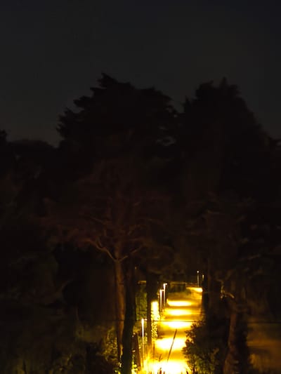 A pathway illuminated by streetlights winds through a dark, tree-lined area at night. The trees, silhouetted against the dark sky, appear dense and leafy. The path itself is a warm yellow-orange, suggesting it is made of concrete or asphalt and is lit by strategically placed lamps. The overall scene conveys a sense of quietness and mystery, typical of a park or garden at night in Passignano sul Trasimeno, Italy.