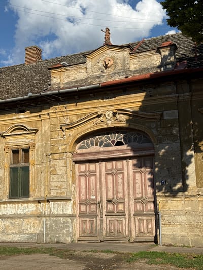 The image depicts the heavily weathered facade of an old, two-story building located in Becej Municipality, Serbia, under a clear blue sky with scattered white clouds. The structure, likely a residential house, exhibits significant architectural ornamentation, suggesting a historical period of construction.

The roof, covered with dark, overlapping tiles, slopes downwards from both sides. On the left, a reddish-brown brick chimney rises from the roofline. Below the roof, a decorative pediment-like section of the facade features a small, light-colored statue of a standing figure, possibly an angel or cherub, positioned centrally at the apex. Below this, a circular relief, possibly depicting an animal head (resembling a bull), is recessed into the textured, deteriorated stucco. Red-painted gutters run beneath the roof edge.

The main wall of the building is painted a faded ochre or yellow, with extensive peeling, cracking, and discoloration revealing underlying brickwork and plaster. On the left, a rectangular window with a dark green frame is set into an arched, light-colored pediment with ornate details. To its right is a large, central double door, painted a faded pink or light red, featuring raised decorative panels. Above these doors is a semi-circular transom window with a complex, leaded glass pattern, one pane of which appears broken. The entire door and transom assembly is framed by an elaborately carved arched surround with decorative rosettes and moldings.

Further right, a portion of the wall is cast in shadow, and a dark blue address plate with the number "21" in white is affixed to the wall. A thin yellow pipe, possibly for gas, runs vertically along the lower left section of the facade, transitioning to a grey pipe near the ground. The ground in front of the building consists of a narrow, light-colored sidewalk or curb, with sparse patches of green grass and exposed dirt. Overhead, multiple thin utility wires traverse the sky. No people or animals are visible in the scene. The overall impression is one of age and disrepair, yet with remnants of elaborate design.