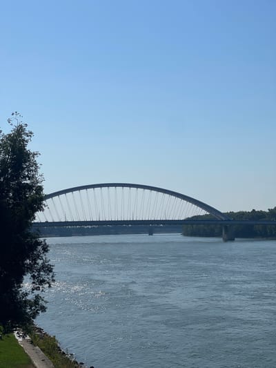 A wide river, likely the Danube, flows under a clear blue sky. In the mid-ground, a modern arch bridge spans the water, its structure characterized by a curved arch and numerous cables supporting the roadway. Another bridge, appearing older and lower, can be seen in the distance, also crossing the river. The right bank of the river is lined with dense green trees. On the left side of the frame, a portion of a grassy bank leads to a paved walkway, with a large tree in the foreground partially obscuring the view of the main bridge. The water's surface is dappled with sunlight, creating a sparkling effect. The scene appears tranquil, suggesting a daytime setting in Bratislava, Slovakia, possibly depicting the Apollo Bridge and the Old Bridge.