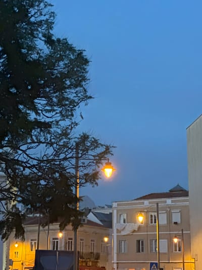 The image captures a twilight scene in Lisbon, Portugal. The sky is a deep, clear blue, indicating either dawn or dusk. In the foreground, the silhouettes of trees with bare branches are prominent, suggesting it might be autumn or winter. The trees are dark and slightly blurred, as if moving in a gentle breeze.
Behind the trees, a building with a light-colored facade and a reddish-brown tiled roof is visible. Several windows with white frames are spaced across its levels. Some windows are dark, while others have lights on, casting a warm glow. Streetlights with orange lamps are dotted along the building and street, illuminating the scene. A blue traffic sign with a white symbol (possibly a warning sign) is attached to a pole in front of the building. Another building, partially visible, is also lit up.
The overall mood is calm and serene, characteristic of the transition between day and night. The lighting suggests artificial lights are beginning to take over from the natural light. The presence of trees and buildings, along with the specific architectural style of the building, are consistent with an urban setting in Lisbon. No people are visible in the frame. There is no discernible text in the image.