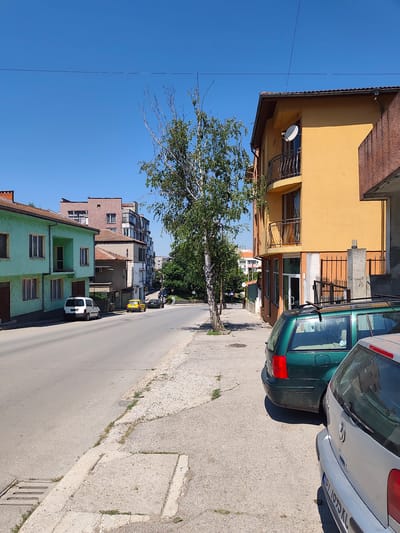The image depicts a street scene in Svishtov, Bulgaria, on a clear, sunny day, likely midday. The setting is a residential and commercial area with buildings lining a paved road. On the left side of the street, there are light green and mint green two-story houses with balconies and windows. Further down the street, a taller, pink-colored building stands alongside other apartment buildings. On the right side of the road, a bright yellow building with a curved balcony is prominent, along with a darker, possibly brown, building to its right. A tall, slender tree with sparse green leaves is situated in the foreground, casting a shadow on the sidewalk.

Several cars are parked along the street and on the sidewalk. A white van is parked in front of one of the green houses. Further down, a yellow car is parked on the street. In the foreground on the right, a dark green station wagon is parked, and partially visible to its right is the back of a silver Volkswagen.

The road appears to be asphalt, with concrete sidewalks. There are some patches of grass growing through the cracks in the pavement and sidewalk. Visible in the foreground on the sidewalk are a manhole cover and a drainage grate. A satellite dish is mounted on the yellow building. The overall impression is of a quiet, ordinary day in a European town. There is no visible text in the image.