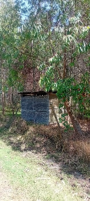 The scene shows a small corrugated metal structure nestled within a wooded area. Trees with sparse foliage frame the structure, while the ground is covered with a mix of dry grass and some green vegetation. The structure appears rudimentary, perhaps a shelter or small storage building, blending somewhat into its natural surroundings. The lighting suggests a sunny day.