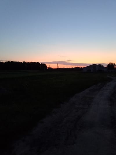 The image depicts a rural landscape at dusk, likely in the vicinity of Докшыцкі сельскі Савет, Belarus, given the architectural style of the building. The sky transitions from a pale blue at the top to soft orange and pink hues near the horizon, indicating the setting sun. In the mid-ground, a dense line of trees forms a dark silhouette against the colorful sky. To the right of the trees, a long, low building with a dark roof and what appear to be ventilation shafts is visible. This building has a somewhat industrial or agricultural appearance. A dirt or gravel road curves from the lower right corner into the scene, disappearing into the dark foreground, which is covered in grass or low vegetation. Power lines are visible in the distance, stretching across the landscape. The overall atmosphere is serene and quiet, characteristic of a rural evening.