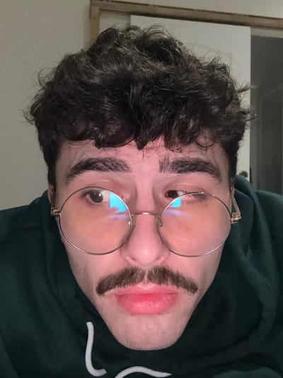 A man wearing round, wire-rimmed glasses stares directly at the camera with a somewhat comical expression. His dark, curly hair is visible, along with his eyebrows that are somewhat thick. A fake, bushy mustache is positioned just below his nose and above his lips, creating a humorous effect. He's wearing a dark green hooded sweatshirt. The overall image has a slightly distorted, selfie-style perspective.