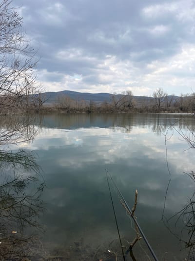 The image depicts a serene outdoor scene, presumed to be in Shanovo, Bulgaria, showcasing a calm body of water under an overcast sky. The sky is dominated by a dense formation of grey and white clouds, with faint patches of lighter sky visible. The water surface is still, creating clear reflections of the clouds and the surrounding bare trees.

In the immediate foreground on the left, a portion of a leafless tree with slender branches extends into the frame, casting a detailed reflection onto the water. In the lower right foreground, a black fishing rod is visible, propped horizontally on a bare, broken tree branch that protrudes from the water. The rod extends into the water towards the center, and a small, red-tipped fishing float is present on the water's surface, indicating a line is cast. The water near the bank is shallow and somewhat clear, revealing submerged organic debris such as leaves and small branches at the bottom.

Across the water in the midground, a narrow landmass is covered with numerous bare deciduous trees and shrubs, suggesting a late winter or early spring season. Beyond this treeline, a range of undulating, blue-hued hills or mountains forms the distant background, positioned beneath the cloudy horizon. No individuals or active human interactions are present, though the fishing rod implies recent or ongoing human presence.