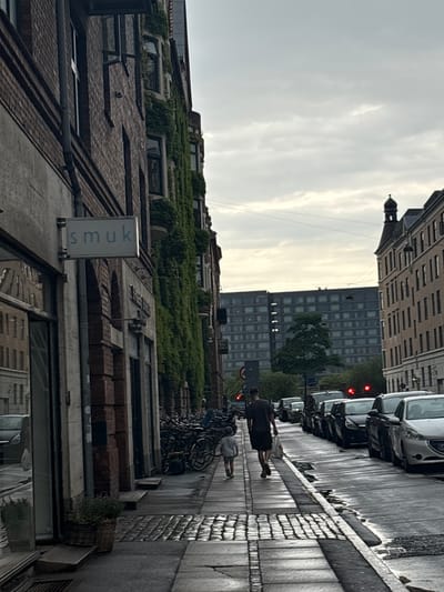 The image depicts a street scene in Copenhagen, Denmark. On the left side of the frame is a brick building with ivy growing on its facade and a sign that reads "smuk". Adjacent to the building are shopfronts and parked bicycles. A sidewalk made of cobblestones runs alongside the building, leading into the distance. On the right side of the street, a line of cars is parked. Two individuals, an adult and a child, are walking away from the camera on the sidewalk. The sky is overcast, suggesting a cloudy day. The overall impression is of a quiet urban street with a mix of residential and commercial architecture.