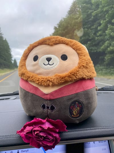 A stuffed animal resembling a bear with a fuzzy brown mane and wearing a brown robe with a red trim and a crest is positioned on a dark textured surface. Next to the stuffed animal, a dried, deep red rose is visible. The background shows a view through a window or windshield, with blurred green trees and a road. A smartphone is also visible on the right side of the frame, displaying the time "9:02 am" and "LTE". The overall lighting suggests it is daytime, and the cloudy sky in the background hints at overcast weather. The scene appears to be set inside a vehicle, possibly a car or truck, given the dashboard-like surface and the view through the windshield. There are no people visible in the image. The stuffed animal and rose are the primary objects of focus.