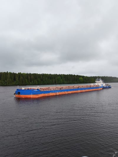 The image shows a blue and orange barge being towed by a blue tugboat on a body of water, presumably near Vskhody, Russia. The barge is loaded with cargo. The water is dark and rippled, suggesting a slight wind. On the left bank, there is a dense forest of green trees. The sky is overcast with grey clouds.