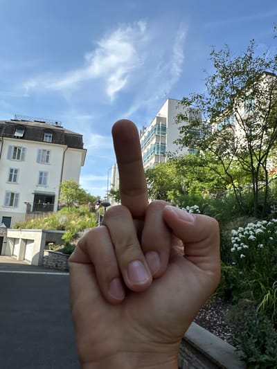 The media file displays a close-up of a person's hand, specifically their middle finger, raised in a middle finger gesture. The hand is positioned in the foreground, with the finger pointing upwards. In the background, out of focus, are buildings with visible windows, trees with green foliage, and a bright blue sky with wispy white clouds, suggesting it is daytime and likely clear weather. The buildings appear to be residential or commercial, with a modern architectural style. There are also hints of a garden or planted area with white flowers. The overall impression is of an outdoor scene, possibly in an urban or suburban environment. The gesture itself, while not explicitly an emotion, can convey defiance or anger. There is no visible text in the image. The location context provided is Zurich, Switzerland.