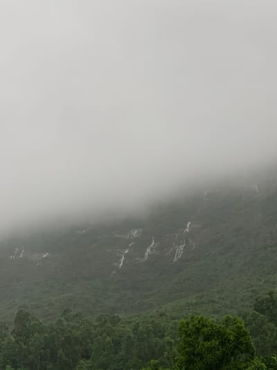 An image captures a misty, mountainous landscape in Xiangzhou, China. The top half of the image is dominated by a dense, pale grey mist, obscuring the sky and the upper reaches of the mountains. Below the mist, the mountainside is covered in lush, dark green vegetation. Streaks of what appear to be waterfalls or cascades are visible descending the rocky slopes, their white lines contrasting with the green foliage. The lower part of the image shows a dense forest of trees, also in various shades of green. The overall impression is one of a cool, humid environment, possibly after rainfall, with limited visibility due to the fog. There are no people or animals visible in the frame.