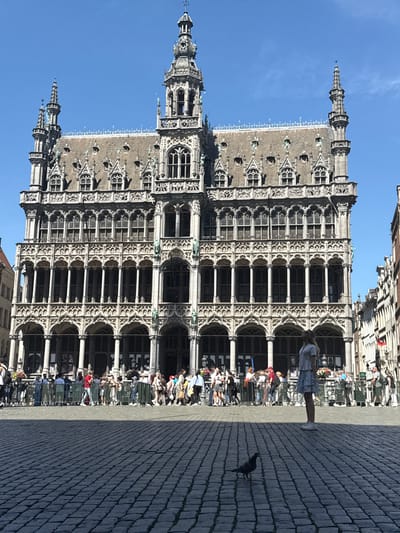 This media file captures a lively scene in Brussels, Belgium, likely during daytime. The dominant subject is the intricate Gothic architecture of a grand building, possibly a town hall or a similar significant structure, with pointed spires and ornate detailing. The building is reflected in what appears to be a large, polished surface, creating a mirror image that adds depth to the composition.
In the foreground, a paved stone area is visible, with a pigeon pecking at the ground. The reflection shows a crowd of people, suggesting a public gathering or a busy tourist area. Some individuals are clearly visible, including a young woman with long hair standing near the mirrored building. They are casually dressed, indicating a pleasant day. The presence of various flags and colorful elements in the reflection hints at a festive atmosphere or a local event.
The sky is a clear, bright blue, suggesting fair weather and a sunny day. The lighting indicates it is likely late morning or early afternoon. The overall mood is vibrant and engaging, portraying a typical bustling day in a European city square. No visible text is present in the image.