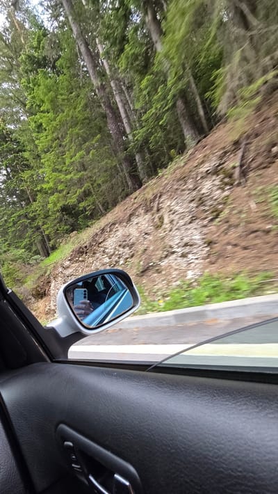 The image captures a scene from the interior of a moving vehicle in Bansko, Bulgaria, looking out through the passenger side window at an upward angle. The lower portion of the frame features the dark gray, textured interior door panel of the car, including a black door handle and adjacent control buttons. A light gray side-view mirror occupies the mid-left, reflecting a hand holding a light-colored smartphone. The smartphone, held by an unseen individual inside the car, displays a prominent vertical triple-camera array on its rear.
Beyond the vehicle, a dense coniferous forest with tall, slender tree trunks and vibrant green foliage dominates the background on the left and upper sections. To the right, a steep, reddish-brown hillside or embankment is visible, characterized by exposed soil, scattered rocks, and intermittent patches of green and dry vegetation. A gray concrete curb and a narrow strip of green grass mark the edge of an asphalt road, partially visible along the lower right. The overall background exhibits motion blur, indicating the vehicle was in transit when the photograph was taken.