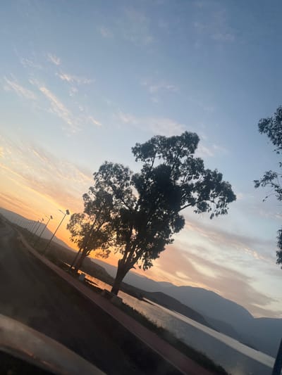 The image shows a sunset landscape in Bin El Ouidane, Morocco. A large tree is silhouetted against the sky, with mountains visible in the background. The sky is a mix of blue, orange, and pink hues. Streetlights are visible along a road. A body of water, likely the lake, is on the right. The scene appears to be viewed from within a vehicle.