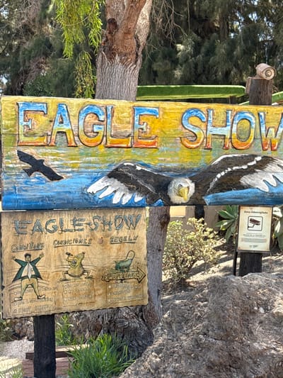 The image shows a sign for an "Eagle Show" in what appears to be an outdoor setting, possibly a park or nature reserve in Tias, Spain. The sign is made of painted wood, featuring an image of an eagle. Beside it is another wooden sign that contains rules and conditions in three languages (English, Spanish and German) and illustrations. It includes prohibitions like "Do Not Stand Up!" and "Do Not Eat!" The signs are attached to wooden posts that are located near a rock. There is also a small sign indicating video surveillance in Spanish. The setting seems to be outdoors with trees and plants.
