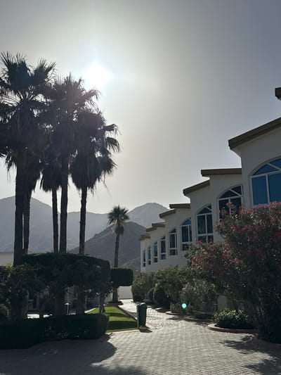 A slightly off-kilter, medium outdoor shot captures a building's architecture, vegetation, and a distant mountain range under a hazy sky. The building's facade, with its multiple arched windows and cream-colored exterior, is partially visible in the upper portion of the frame. A large bougainvillea, with pink flowers, cascades from the right corner of the building. A paved walkway runs along the right edge of the frame, flanked by manicured hedges and grass. In the middle ground, several palm trees stand tall, their fronds swaying in the wind. Behind the palm trees, a mountain range is faintly visible against the sky. The sun is high, creating a diffused, bright light that obscures details in the sky. The location is Al Aqah, United Arab Emirates.