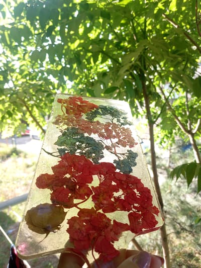 A clear, rectangular object, likely resin, filled with dried flowers of red and blue hues is held in a person's hand. The object is oriented vertically and tilted slightly. In the background, out of focus, is lush green foliage and tree branches illuminated by sunlight. The scene appears to be outdoors, possibly in a garden or park, with a hint of buildings visible in the far distance, suggesting an urban or suburban setting. The location is Lymanka, Ukraine.