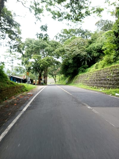 This image depicts a two-lane asphalt road in the city of Serpang Shalli, Bhutan, viewed from a low perspective. The road surface appears damp and features a solid white line marking the left edge and a solid yellow line further right, indicating lane separation. On the left side, a low, grass-covered stone retaining wall supports an embankment, behind which a structure with a light blue roof is partially visible, along with a yellow sign and dense green foliage. Further back, indistinct structures are visible through the trees. On the right side, a substantial stepped retaining wall, constructed from dark stone blocks, supports a steep, heavily vegetated hillside. This hillside is densely covered with various green trees and plants, including what appears to be a banana plant. The sky overhead is bright and overcast, with tree branches visible in the upper frame. No clearly discernible human figures or active vehicles are present on the road or in the immediate foreground.