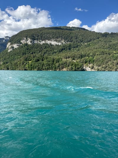 An eye-level, full outdoor shot captures the vibrant, turquoise waters of Lake Thun in Sigriswil, Switzerland. The lake, which occupies the foreground and middle ground, is agitated by small waves, creating a textured surface that reflects the bright sunlight. In the background, a densely forested mountain rises steeply from the water's edge. The mountain is covered in a thick carpet of dark green trees, with a prominent band of lighter, rocky cliff face visible partway up. The sky above is a brilliant blue, dotted with fluffy white clouds. The scene evokes a sense of natural beauty and tranquility.
