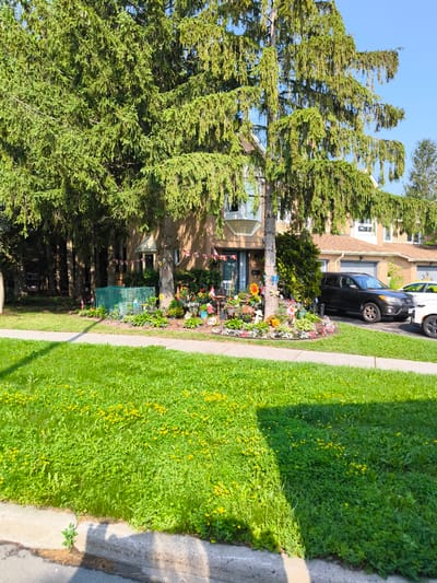 The image depicts a suburban residential street in Ottawa, Canada, on a clear day with a bright blue sky. In the foreground, a well-maintained green lawn with scattered yellow wildflowers lines the edge of a concrete sidewalk and a paved road.
The midground is dominated by a multi-story brick house, partially obscured by large evergreen trees with drooping branches. The house features an attached garage with a dark SUV parked in the driveway. The front yard of the house is elaborately decorated with a collection of potted plants, garden ornaments, and numerous small Canadian flags, suggesting a patriotic or celebratory display. A small green greenhouse or netted structure is also visible in the front yard. The house number "1837" is visible near the front door.
In the background, other residential buildings and more trees are visible, typical of a suburban neighborhood. The overall impression is of a sunny, residential area with a festive front yard display.