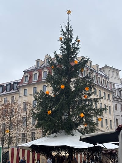 A large, decorated evergreen Christmas tree stands prominently at what is identified as the Altmarkt in Dresden, Germany. The tree is adorned with multiple orange, multi-pointed star ornaments and topped with a golden star. At its base are white canopy market stalls, with a glimpse of red and white striped fabric from one stall. Several indistinct individuals are visible beneath the market structures. In the background, multi-story buildings feature cream-colored facades, red mansard roofs, and numerous dormer windows, some exhibiting a light dusting of snow on the rooftops. Leafless deciduous trees are present on the left. The sky is uniformly overcast.