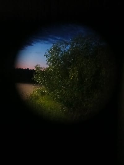 The image shows a view through a circular aperture, likely a camera lens or a similar optical device. The scene depicted is an outdoor landscape at dusk. On the right side of the frame, a dense bush with green foliage dominates the view, with some of its leaves appearing to catch faint light. To the left of the bush, a body of water, possibly a river or lake, is visible, reflecting the twilight sky. In the background, a silhouetted treeline stretches across the horizon, with hints of a soft pink and blue gradient in the sky above it. The foreground, to the left of the bush and water, is obscured by darkness, creating a vignetting effect. The location is stated to be in the city of Voskresenskoye, Russia.