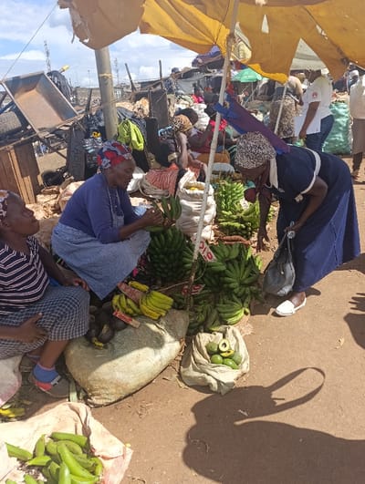 The scene is a bustling market in Githurai, Kenya, located at latitude -1.201 and longitude 36.92. Three women are seated on the ground under a yellow awning, surrounded by bags of produce. The women are dressed in traditional clothing and are actively engaged in the buying and selling of various fruits, including bananas, avocados, and plantains. One woman is dressed in a blue and white dress and is talking to another woman who is wearing a patterned dress and holding a bunch of bananas. A third woman, wearing a blue and white dress, is seated on the ground holding a bunch of plantains. The women are interacting with each other and potentially with other customers, creating a lively and vibrant atmosphere within the marketplace. The market is situated in a crowded area, as evidenced by the background, which includes various stalls, makeshift structures, and people moving about. The ground is a mixture of dirt and pavement, and the overall scene suggests a busy and typical day at a local market in Githurai.