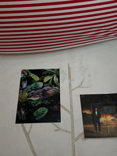The image shows a section of a white wall with two posters and a vertically striped curtain on the left. The top poster depicts a man in a suit against a backdrop of fire. Below it is a poster of a gecko surrounded by green foliage. The posters are held to the wall with strips of tape, which form a branch-like pattern on the wall. The wall has a textured surface. The red and white curtain is to the left. The scene is indoors, in a location in Tantow, Germany.