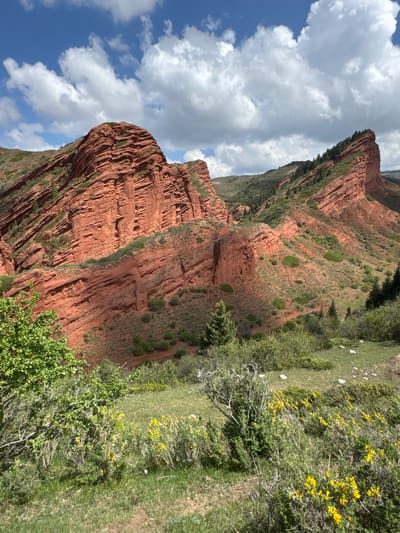 The image displays a picturesque, sun-drenched mountainous landscape in Jeti-Ögüz, Kyrgyzstan, characterized by dramatic red rock formations. The scene primarily features towering, layered red sandstone cliffs and slopes, which dominate the left and central portions of the frame. These rugged rock faces are interspersed with patches of green vegetation, including bushes and small trees clinging to the contours of the terrain.
In the foreground and extending into the mid-ground, the landscape transitions to rolling green hills and slopes covered with dense foliage and grass. Bright yellow flowers are visible on several bushes, adding vibrant splashes of color against the green. Small white stones or rocks are scattered across the grassy areas on the right side of the image.
Above the majestic red mountains, a clear blue sky is visible, adorned with large, fluffy white cumulus clouds. The bright, direct sunlight indicates that it is daytime, likely mid-morning or afternoon, illuminating the textures of the rock and vegetation and creating clear shadows.
No people or distinct man-made objects are visible, underscoring the natural and remote character of the location. The image captures the serene and imposing beauty of the Jeti-Ögüz region, renowned for its unique red sandstone geology. There is no visible text within the media file.