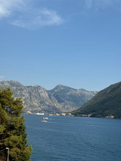 The image shows a panoramic view of the Bay of Kotor, with a focus on the coastline and mountains. In the foreground, a portion of a lush green pine tree is visible on the left side of the frame. The body of blue water in the mid-ground has several boats moving across it, leaving wakes. A large white cruise ship is docked in the distance, near a coastal town with white buildings. The town is situated at the base of steep, rugged mountains that dominate the background. The sky is clear and blue with a few wispy white clouds. The scene depicts a serene coastal landscape, likely taken from an elevated vantage point overlooking the bay. The presence of the cruise ship and smaller boats suggests this is a popular tourist destination.