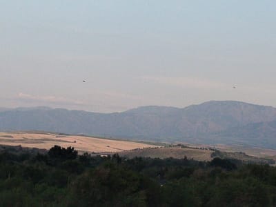 The image depicts a serene landscape with rolling hills and mountains in the background, suggesting a rural or semi-rural setting. The foreground is dominated by dense, dark green foliage, likely trees and shrubs, creating a sense of depth and natural beauty. Beyond this, the terrain transitions to lighter shades of brown and yellow, indicating cultivated fields or open grassland. In the far distance, a range of hazy blue mountains forms the horizon, partially obscured by atmospheric conditions. The sky is a pale, soft blue, transitioning to a lighter hue at the horizon, indicating either early morning or late evening light. Two dark, silhouetted birds are visible in flight, adding a dynamic element to the otherwise still scene. The overall impression is one of natural tranquility and vast open space. The location is identified as Kabanbay, Kazakhstan.