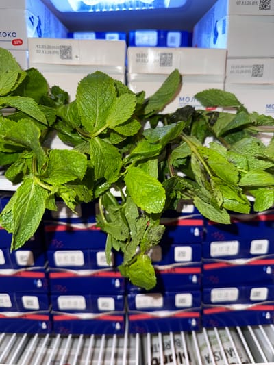 The image shows a close-up view of fresh mint leaves with a blurred background of packaged dairy products. The mint leaves are vibrant green, with some slight discoloration or speckling on a few of them. The background consists of several rows of blue and white cartons, with red vertical stripes. Some of the cartons have visible text and barcodes.
The visible text on the cartons includes "МОЛ" which likely stands for "Молоко" (milk), and "3.2%". There are also dates such as "07.12.26" and "12.03.26 05:23" printed on the packaging, indicating expiration or production dates. The arrangement of the cartons suggests they are stored in a refrigerator or on a shelf, possibly in a retail setting or a storage area. The lighting suggests it could be daytime, as there is sufficient illumination, but the exact time of day is not discernible. The setting appears to be indoors, likely a food storage or retail environment in Veshki, Russia, given the context. No people are visible in the image. The overall impression is a still life composition focusing on the fresh produce against a commercial backdrop.