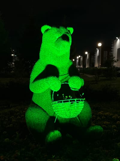 This image shows a green, topiary bear sculpture illuminated at night in the city of Novoye Shigaleevo, Russia. The bear is sitting and holding a basket filled with small plants. The sculpture is positioned in an outdoor setting with some trees and buildings visible in the background. Streetlights are also present, casting a warm glow on the scene. The overall atmosphere is somewhat eerie due to the green lighting and the darkness of the night.