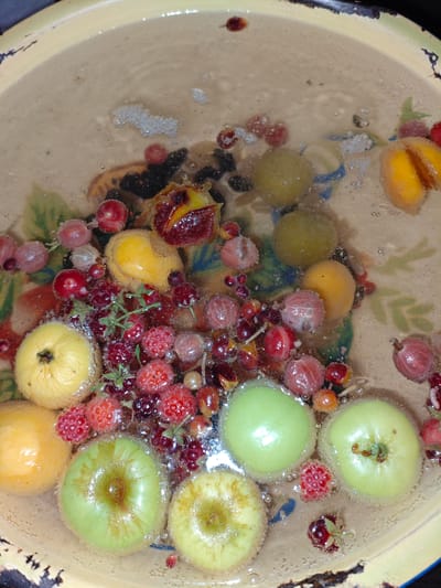 This image shows a close-up view of a shallow, yellow, enameled bowl filled with water and various fruits. The fruits include what appear to be small apples or crabapples, some yellow and some green, along with red berries, possibly cranberries or currants, and some smaller, translucent pinkish berries that resemble gooseberries. There are also some darker, possibly dried berries or small dark fruits mixed in. The water is slightly cloudy and contains numerous small bubbles, suggesting some sort of preparation or maceration is occurring. The fruits are submerged, and some are floating. The bowl itself has a decorative pattern on the bottom, with faded floral motifs in green and blue. The overall impression is of a rustic preparation of fruit, perhaps for a compote, jam, or other culinary use, in a home setting. The lighting is soft, and there are no people visible. The context of Қарғалы, Kazakhstan, suggests a rural or domestic environment, possibly during a time of harvest.