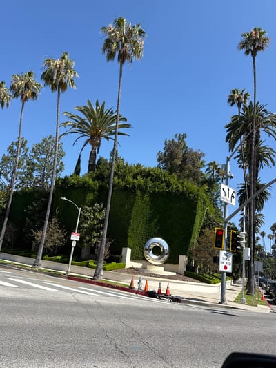 The image captures a sunny day in Beverly Hills, California, with a clear blue sky. The scene is dominated by several tall palm trees, their fronds blowing in the wind, suggesting a breezy day. The perspective is from a street, looking towards a sidewalk and a well-maintained, manicured hedge that forms a barrier.
Prominently featured is a street intersection with traffic lights and street signs. One sign indicates "NO TURN ON RED," accompanied by a red circle and a red light illuminated on the traffic signal. Another sign displays directional arrows and the text "ONLY T ON 1."
In front of the hedge, a large, polished metallic sculpture, possibly a torus or a ring shape, gleams in the sunlight. Orange traffic cones are visible near the sidewalk. The street itself is asphalt with visible cracks, and a pedestrian crossing is marked with white stripes. The presence of manicured hedges, the specific traffic signs, and the overall ambiance suggest a wealthy, well-kept neighborhood. The time of day appears to be late morning or early afternoon, given the bright sunlight and distinct shadows.
