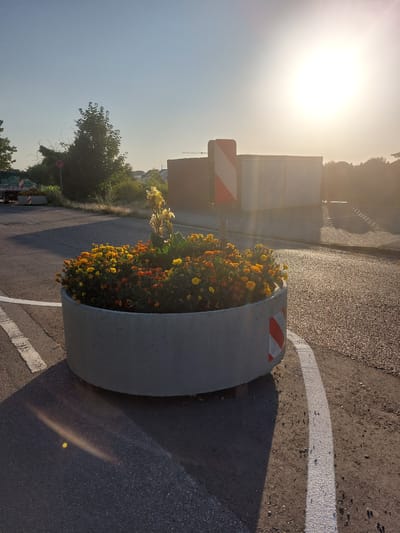 In Herzogenrath, Germany, an outdoor scene captures a circular concrete planter filled with vibrant marigolds and some taller yellow flowers. The planter is situated on an asphalt road with white lane markings. Behind the planter, a vertical traffic sign with red and white diagonal stripes stands tall. Further in the background, the sun shines brightly, casting long shadows. The environment appears to be an urban or suburban setting, possibly near a road construction area, as suggested by construction barriers or temporary structures in the distance. The overall lighting indicates it's either sunrise or sunset due to the low angle of the sun and the warm glow.