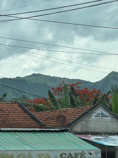 The image captures a view of a residential or commercial area in Vĩnh Lương, Vietnam, under a cloudy sky. In the foreground, the red tiled roof of a building is visible, with a portion of a gray concrete structure featuring a triangular attic window. Below the roofline, a green and white striped awning is partially visible, with text on a gray surface that appears to read "CAFÉ". A satellite dish is mounted on the roof. Behind the structures, lush green mountains dominate the background, their slopes covered in vegetation. In between the foreground buildings and the mountains, vibrant red flowers on a tree and large green leaves are prominent. Numerous black electrical wires crisscross the sky, casting faint shadows. The overall impression is one of a tropical or subtropical landscape with evidence of human settlement.
