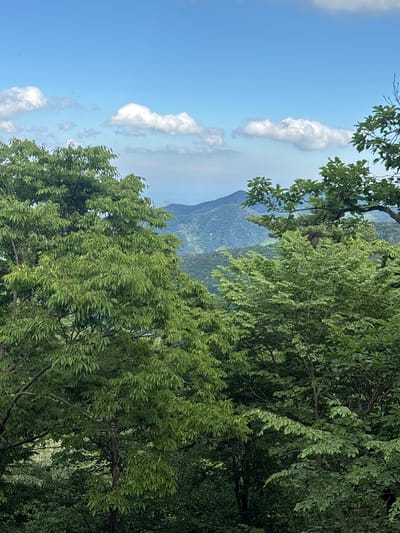 The image captures a scenic view of lush green mountains under a bright blue sky with scattered white clouds. The foreground is dominated by the dense foliage of trees, with their leaves appearing vibrant and healthy. In the midground and background, rolling mountains covered in vegetation recede into the distance, their outlines softened by atmospheric haze. The overall impression is one of natural beauty and tranquility. This view is consistent with many elevated viewpoints found in and around Gyeongju-si, South Korea, where mountainous terrain is common, often offering panoramic vistas of the landscape.