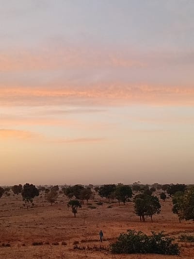 The image captures a serene outdoor landscape, likely at either sunrise or sunset, viewed in a horizontal orientation (after mentally rotating the provided vertical image). The scene is divided horizontally by a distinct horizon line.
The upper portion of the image is dominated by a vast sky, displaying a beautiful gradient of warm and soft colors. Closer to the horizon, the sky is a light, hazy orange and yellow, gradually transitioning upwards into soft pinks and then a pale, diffused blue-grey. Wispy, elongated clouds are scattered across the sky, catching the warm light and appearing as streaks of orange and pink against the lighter background. The overall impression of the sky is one of tranquil atmospheric beauty.
The lower portion of the image depicts an expansive, open terrain. The ground is dry and arid, covered in light brown and tan hues, suggesting sparse, dry vegetation or parched earth. Numerous trees with dark green foliage are scattered across this landscape. They appear to form a somewhat continuous, irregular line along the horizon, extending into the middle ground. These trees are of varying sizes, but generally appear small to medium, providing visual texture and depth to the otherwise open area.
A single human figure is discernible on the right side of the lower landscape, standing or walking in the distance. The person appears to be wearing dark clothing, possibly blue, and is relatively small within the vastness of the landscape, contributing to the sense of scale. Their features are not clear due to the distance and lighting conditions.
The overall lighting is soft and warm, characteristic of the golden hour, indicating either early morning or late evening. The scene conveys a sense of peacefulness and vastness, with the warm colors of the sky creating a calm and inviting atmosphere. No text is visible in the image.
