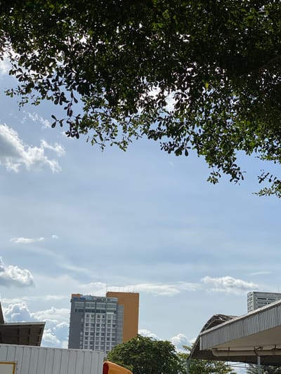 In Gambut Barat, Indonesia, the scene is dominated by a bright, partly cloudy sky. Lush green foliage from an overhead tree drapes across the top portion of the frame, partially obscuring the sun. Below, two modern buildings rise against the sky. One is a tall, grey structure with numerous windows, topped by a smaller, orange rectangular building. To the right of this, another, more distant building with a grid-like facade is visible. In the foreground, the metallic roof of a structure with corrugated siding is partially visible, casting a shadow. Lush green trees can be seen peeking out from behind these structures. The overall impression is a bright, urban landscape filtered through natural elements.
