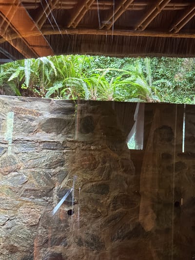 The image depicts an exterior scene viewed through a reflective glass barrier, set in Mù Cang Chải, Vietnam. The upper segment reveals the intricate underside of a thatched roof, characterized by dark, natural fibers forming a dense horizontal fringe and supported by diagonal and horizontal structural elements, possibly bamboo or wood. Delicate, bright linear streaks traverse this section, suggesting either water runoff or internal light reflections on the glass.

Beneath the roofline, a verdant expanse of vegetation is visible. The foreground features a dense cluster of vibrant green ferns with distinct fronds. Behind the ferns, a wall or embankment is covered in a lighter green, smaller-leafed creeping plant, creating a continuous natural backdrop.

The lower half of the composition is dominated by a substantial wall constructed from irregularly shaped, multi-toned stones, presenting a textured surface with shades of grey, brown, and reddish-brown. This stone wall is significantly obscured by reflections on the glass. Prominent reflections include sharp, diagonal and vertical light streaks, a dark circular aperture on the lower right portion of the stone wall, and a faint, translucent outline of a white vertical object, possibly a curtain or interior architectural feature, on the right side. No individuals or animate subjects are present, and no actions are discernible. The overall environment conveys a lush, natural, and potentially rustic setting.
